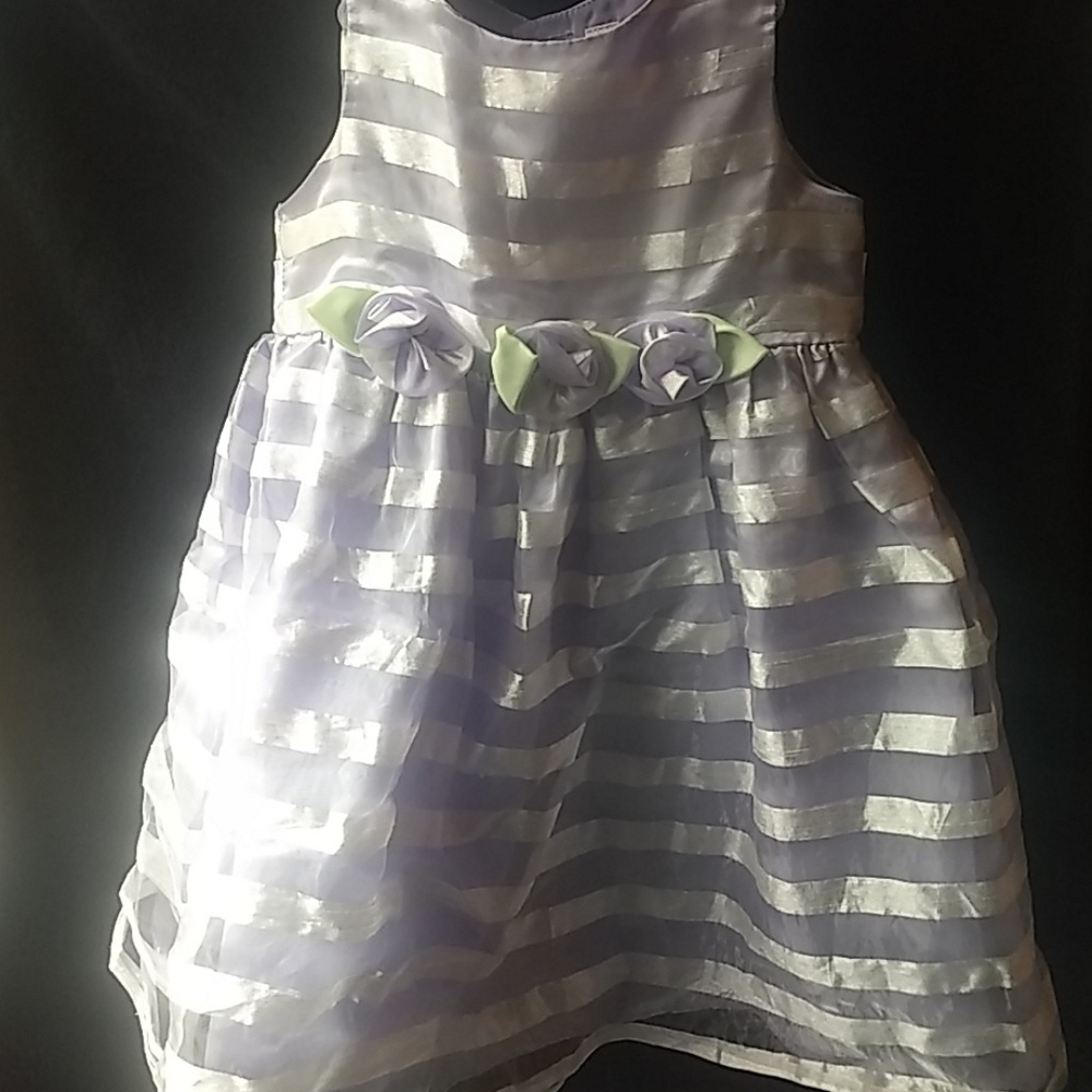 5T Cherokee dress